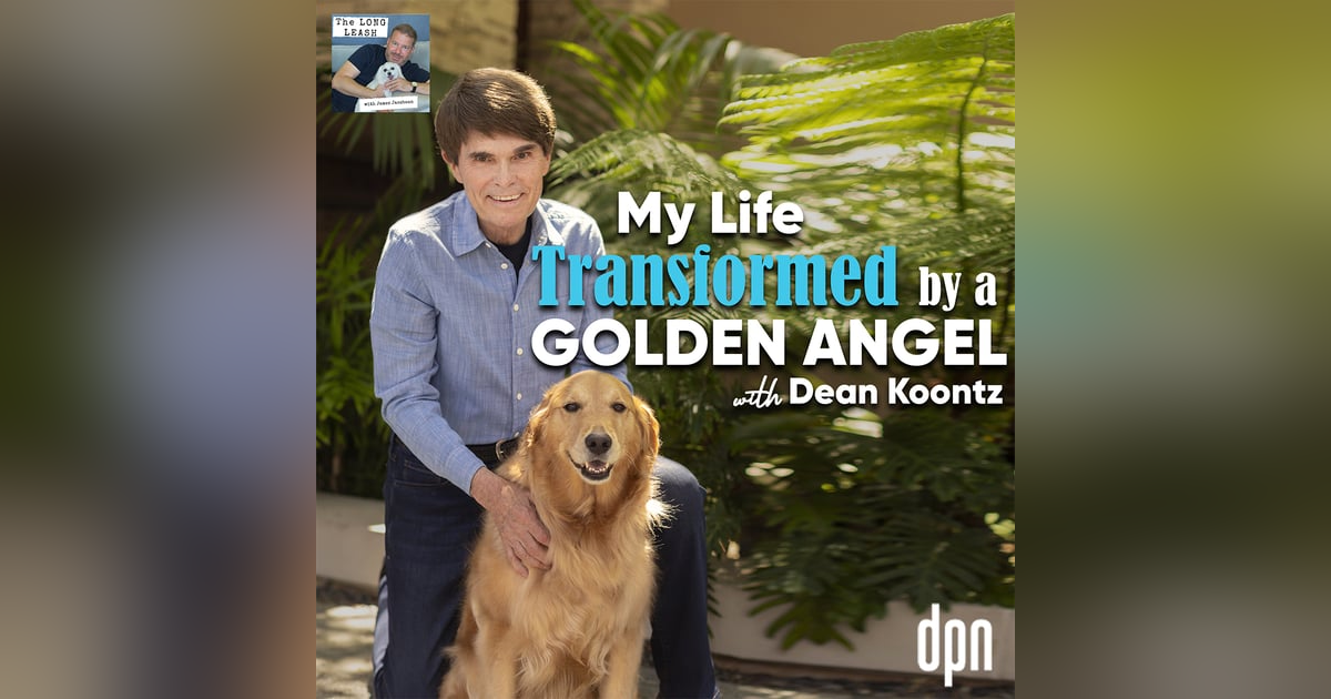 My Life Transformed by a Golden Angel with Dean Koontz | The Long Leash # 57 My Life Transformed by a Golden Angel with Dean Koontz | The Long Leash # 57