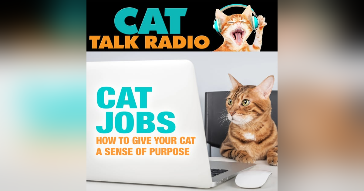 Cat Jobs: How to Give Your Cat a Sense of Purpose Cat Jobs: How to Give Your Cat a Sense of Purpose