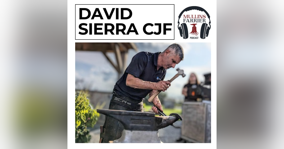 David Sierra, CJF David Sierra, CJF