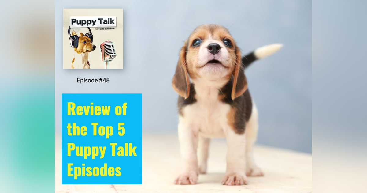 Review of the Top 5 Puppy Talk Episodes Review of the Top 5 Puppy Talk Episodes