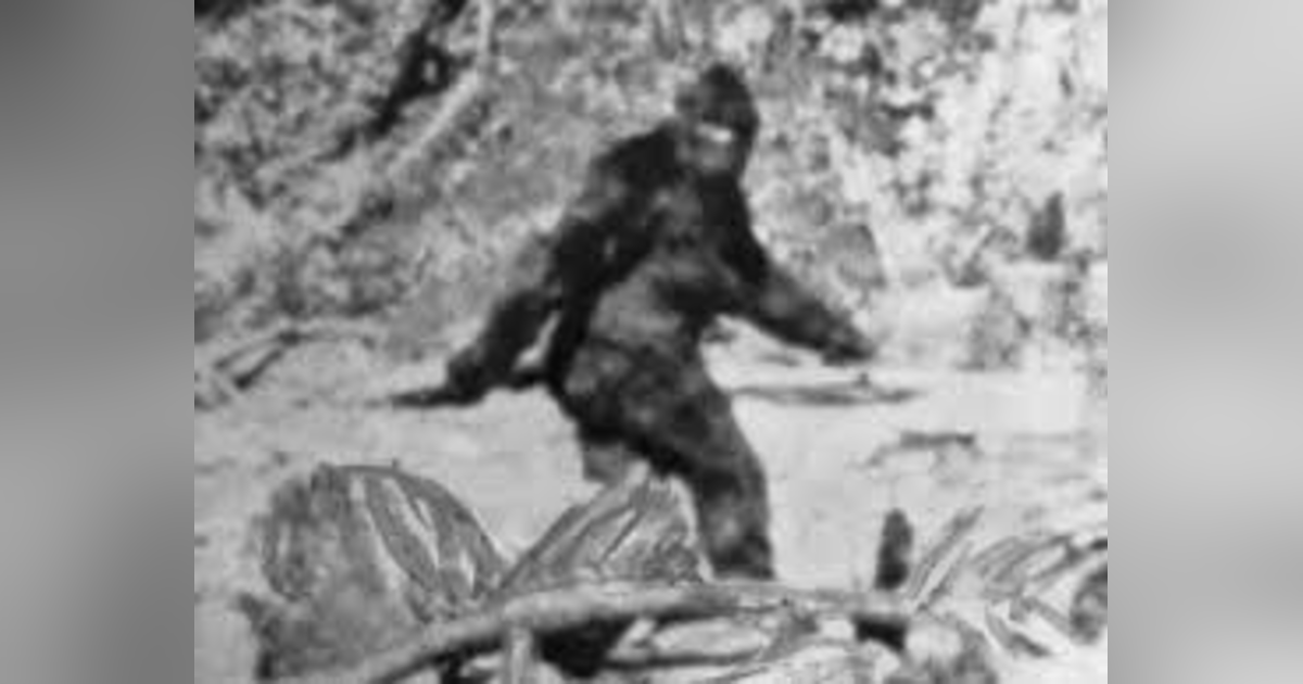 BIGFOOT: THE LEGEND LIVES BIGFOOT: THE LEGEND LIVES