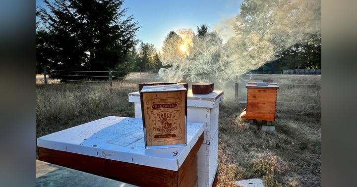 image for Preparing for Success: Essential Considerations for Beginning Beekeepers