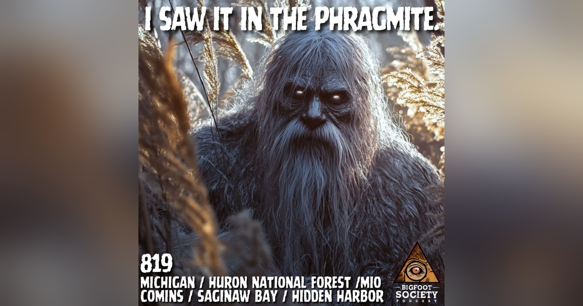 It Made a Bee-Line Towards Me! | Michigan It Made a Bee-Line Towards Me! | Michigan