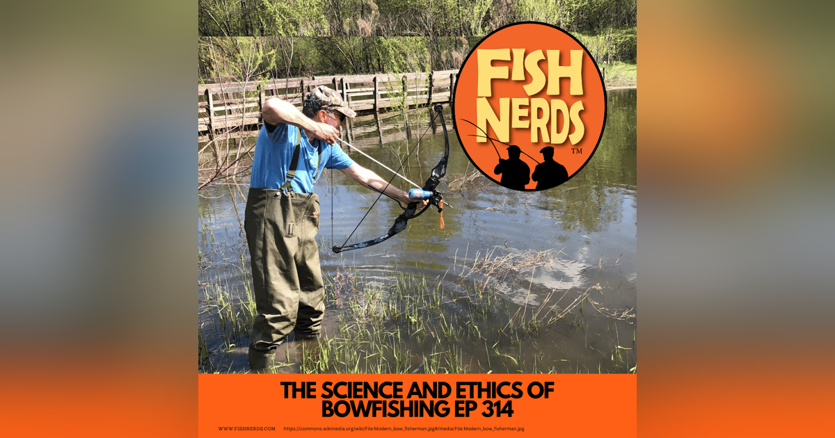 The Science and Ethics of Bowfishing Fish Nerds 314 The Science and Ethics of Bowfishing Fish Nerds 314