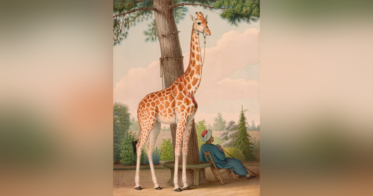 Famous Historical Animals Famous Historical Animals