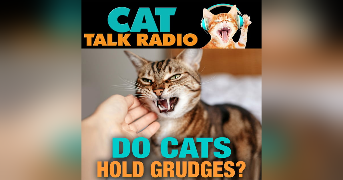 Do Cats Hold Grudges? Do Cats Hold Grudges?