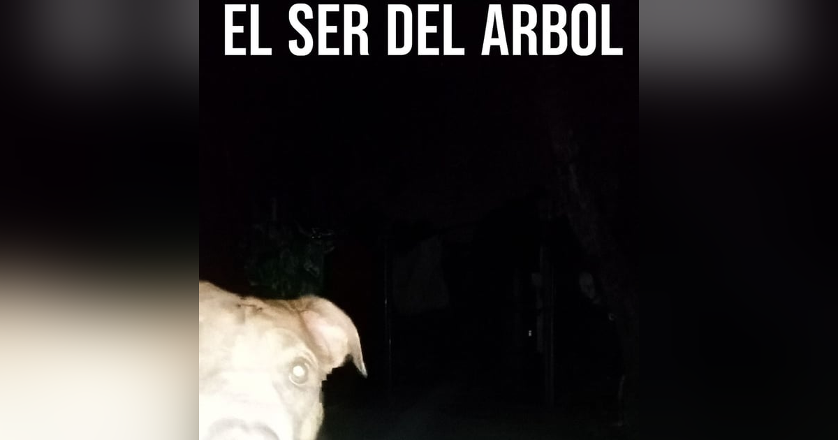 Historias de Miedo Octubre 28 de 2025 EL SER DEL ARBOL Historias de Miedo Octubre 28 de 2025 EL SER DEL ARBOL