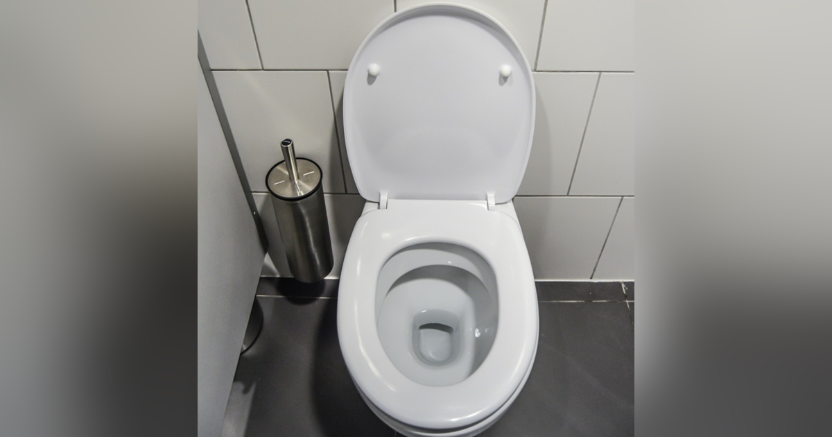 History of the Toilet History of the Toilet