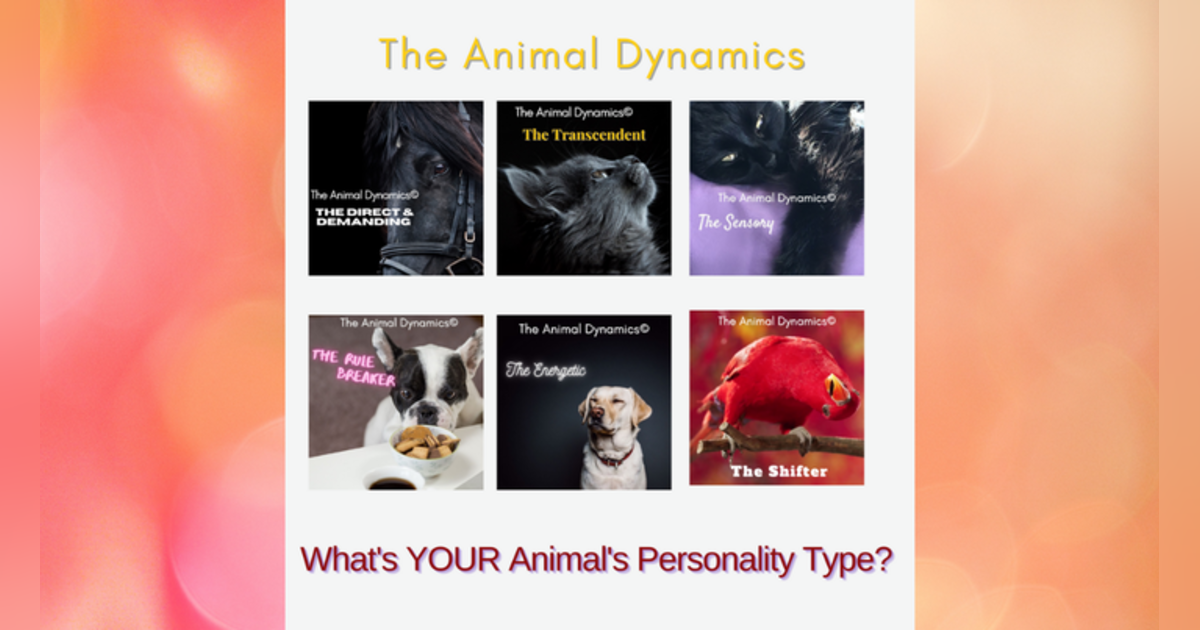 Conversations With Coryelle- A Recap of the Animal Dynamic‘s Conversations With Coryelle- A Recap of the Animal Dynamic‘s