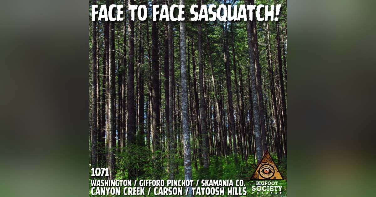 A Retired Military Veteran Shares His Face-to-Face Sasquatch Encounter in Gifford Pinchot National Forest A Retired Military Veteran Shares His Face-to-Face Sasquatch Encounter in Gifford Pinchot National Forest