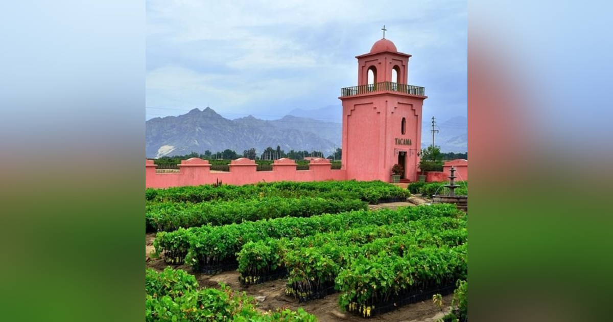 Sibling Rivalry: The Story of Pisco (Part 1) - With Diana Delgado Cornejo Sibling Rivalry: The Story of Pisco (Part 1) - With Diana Delgado Cornejo