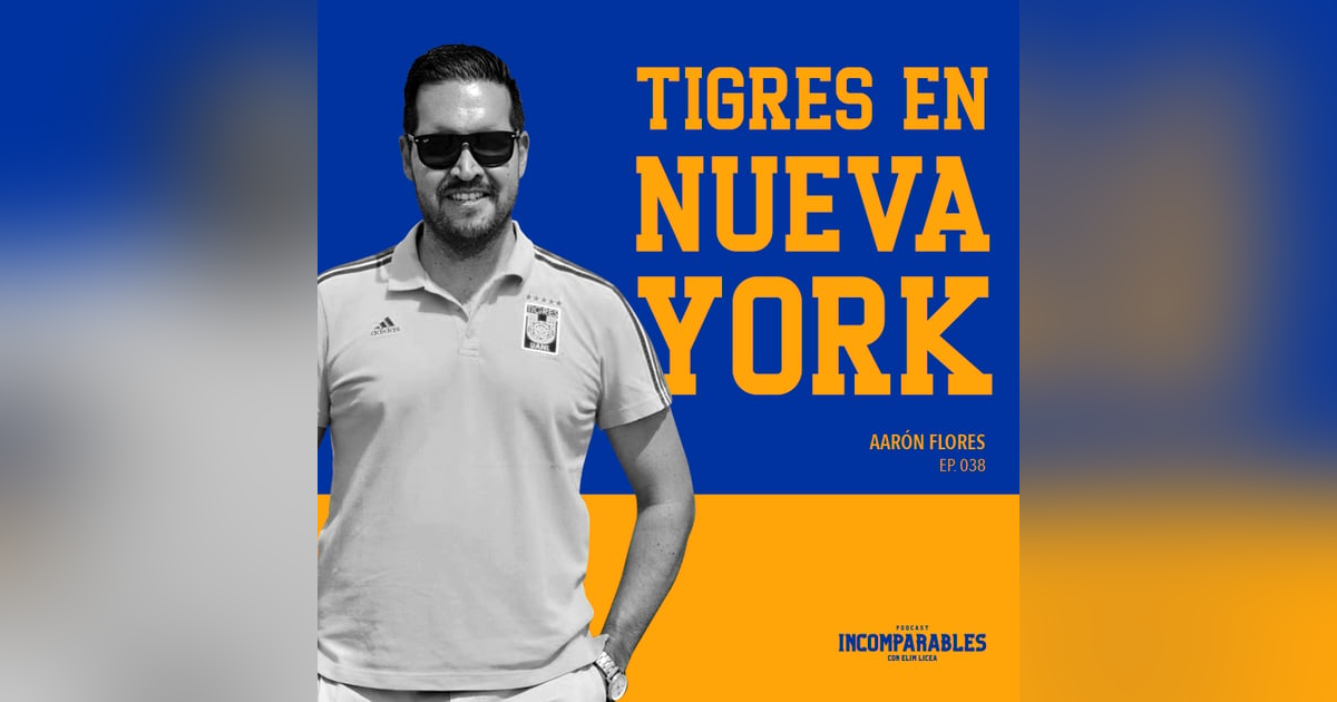 038 | Tigres en Nueva York | Aarón Flores 038 | Tigres en Nueva York | Aarón Flores