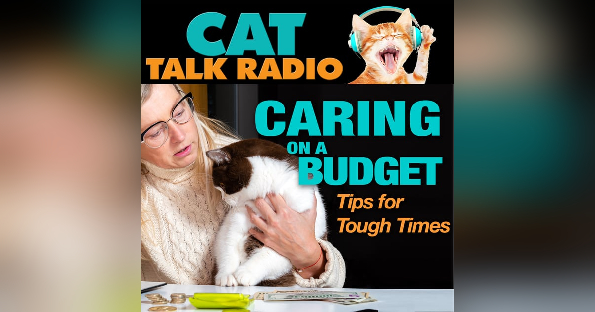Caring for Cats on a Budget Caring for Cats on a Budget