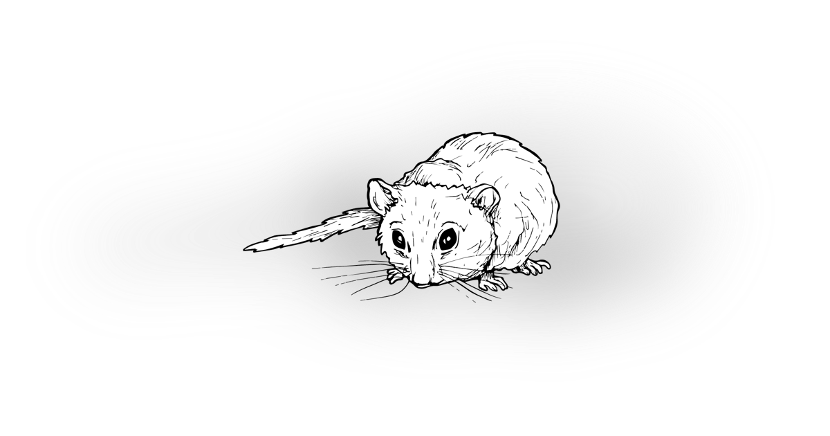 The Hazel Dormouse The Hazel Dormouse