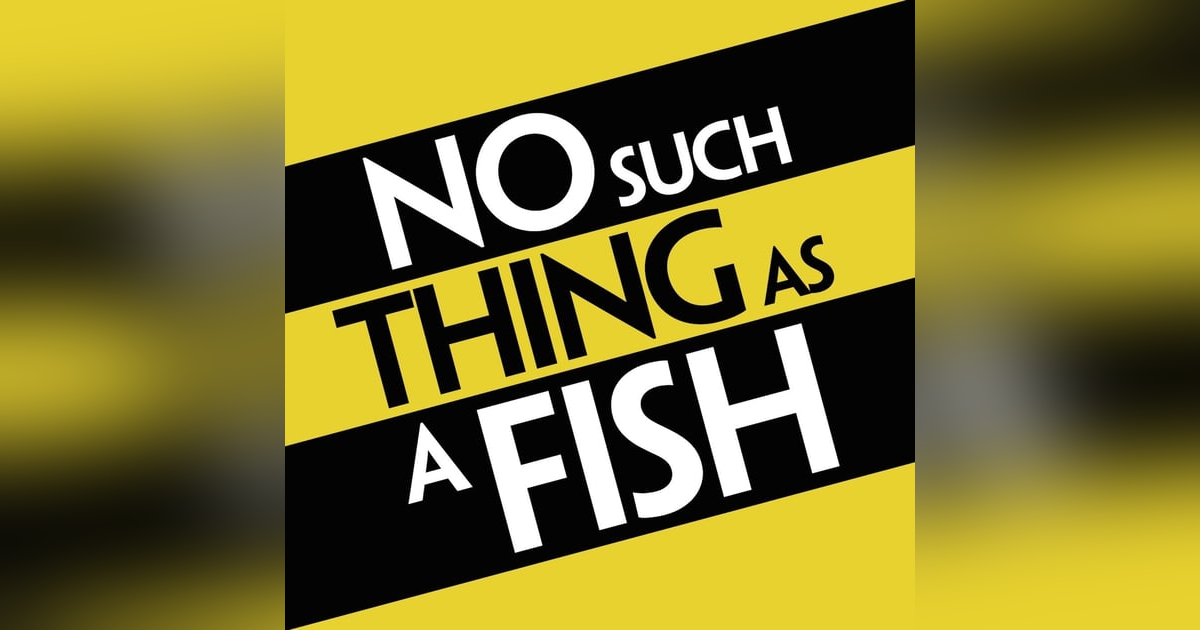 No Such Thing As A Fish Reviewed No Such Thing As A Fish Reviewed