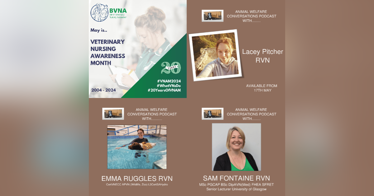 Sneak Preview - Vet Nursing Awareness Month Sneak Preview - Vet Nursing Awareness Month