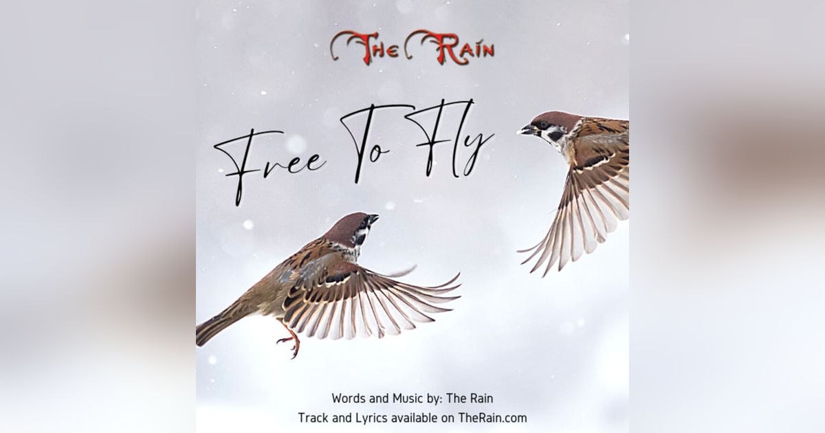 Free To Fly Free To Fly