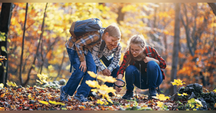 image for Learning from Our Little Ones: Lessons in Motherhood