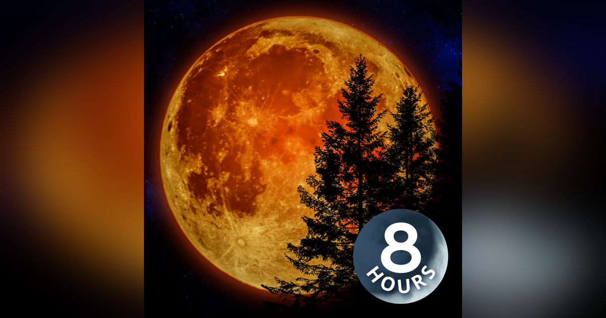 White Noise for Sleeping 8 Hours | Perfect for Autumn! White Noise for Sleeping 8 Hours | Perfect for Autumn!