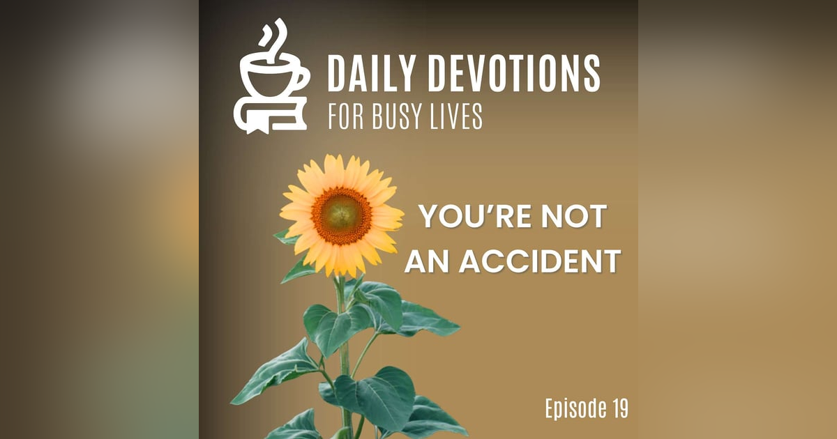 You're Not an Accident You're Not an Accident