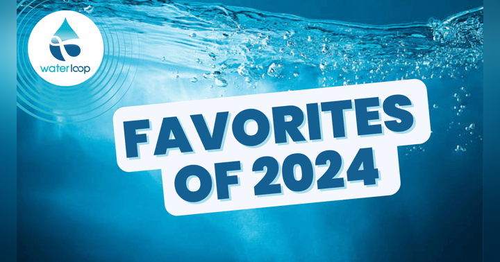 image for Favorites of 2024