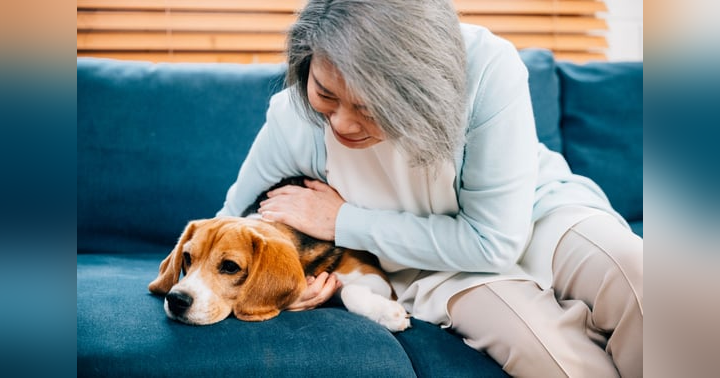 image for Protecting Your Independence While Protecting Your Pet