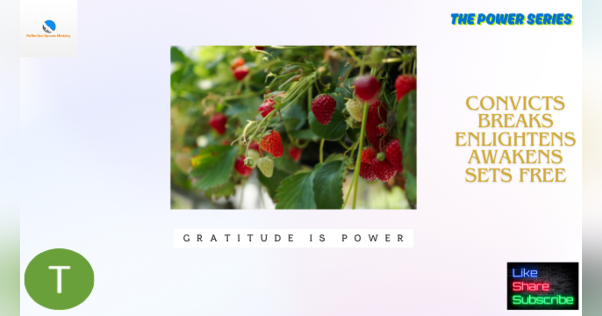 The Power Series: Gratitude is Power The Power Series: Gratitude is Power