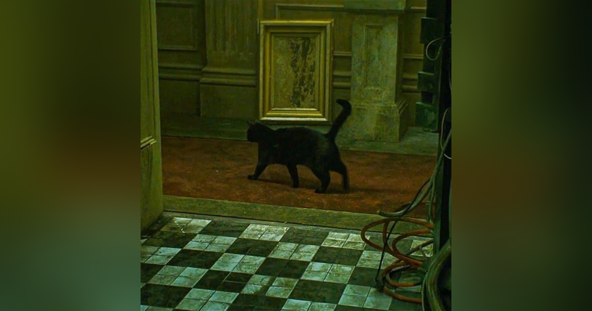 Historias de Miedo Agosto 1 de 2023 DEJA VU Historias de Miedo Agosto 1 de 2023 DEJA VU