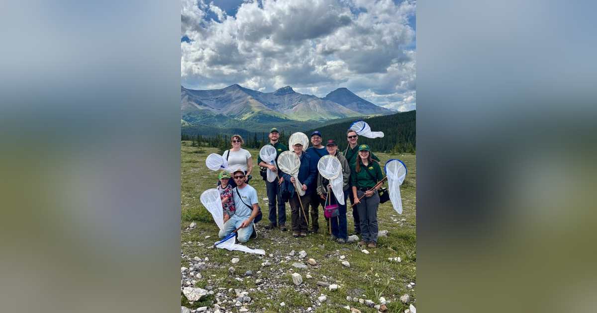 Ep 68- Hunting Butterflies (Feat. Beth MacCallum) Ep 68- Hunting Butterflies (Feat. Beth MacCallum)