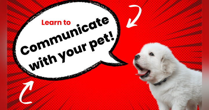 image for Nonverbal Communication: The Key to Clarity with Your Pet