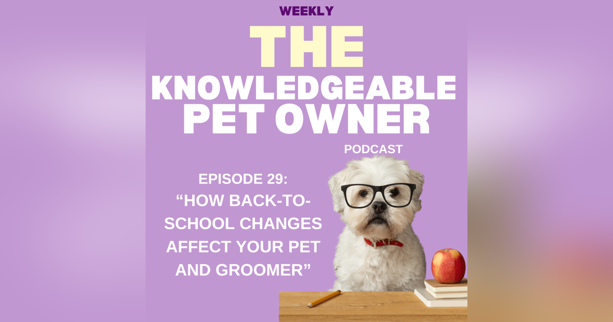 How Back-to-School Changes Affect Your Pet and Groomer How Back-to-School Changes Affect Your Pet and Groomer