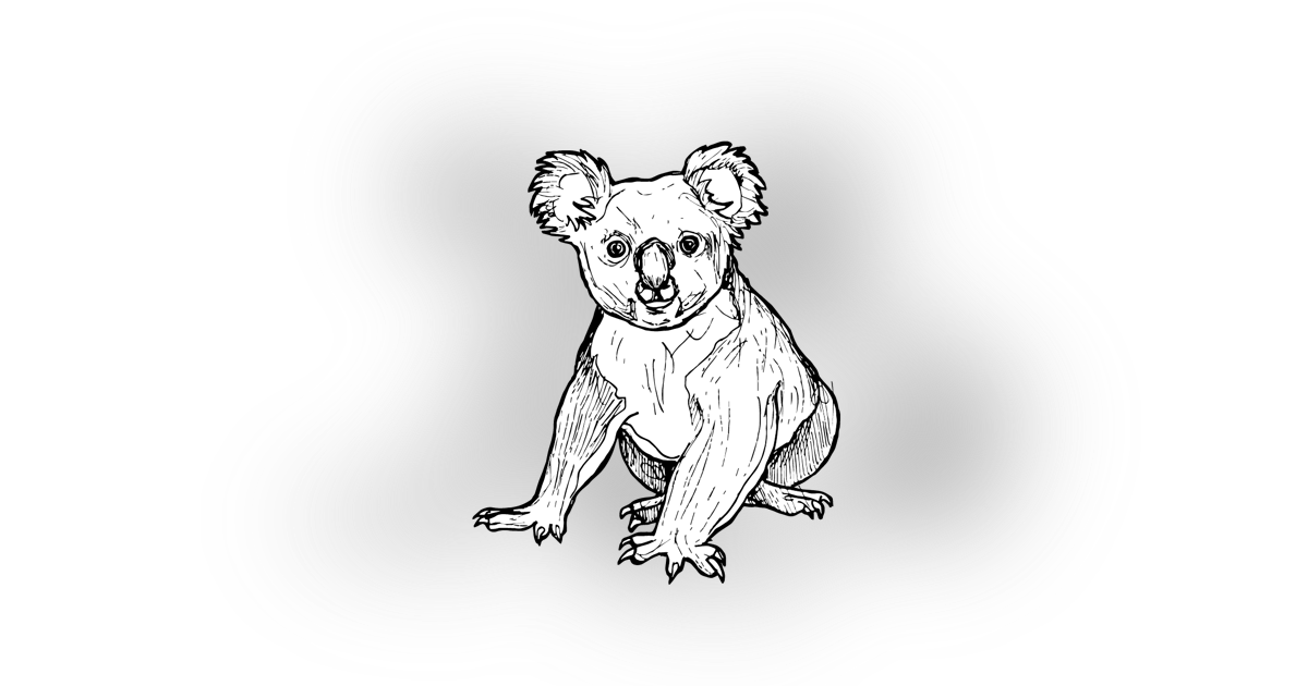 The Koala The Koala