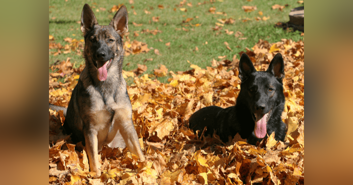 image for Behind the Mic: Episode 1