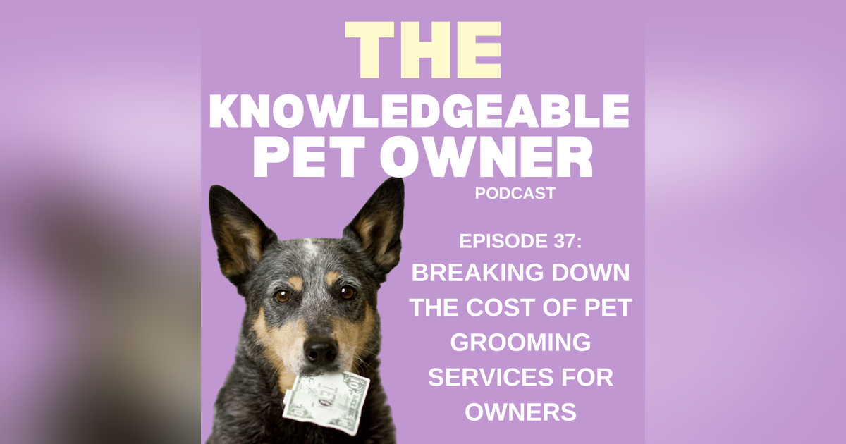 Breaking Down the Cost of Pet Grooming Services for Owners Breaking Down the Cost of Pet Grooming Services for Owners