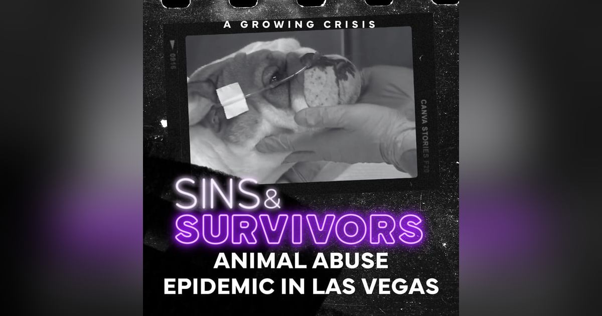 The Animal Abuse Epidemic in Las Vegas The Animal Abuse Epidemic in Las Vegas