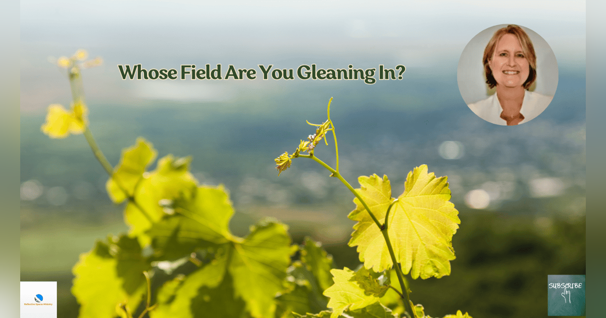Whose Field Are You Gleaning In? Whose Field Are You Gleaning In?
