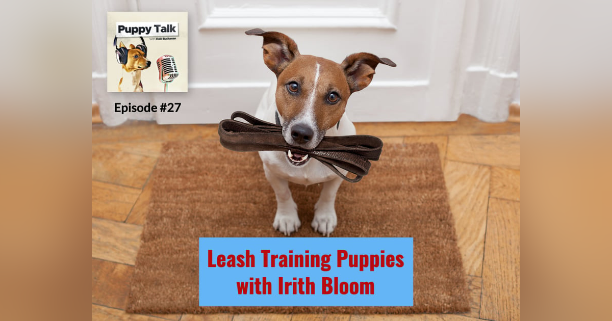Leash Training Puppies with Irith Bloom Leash Training Puppies with Irith Bloom