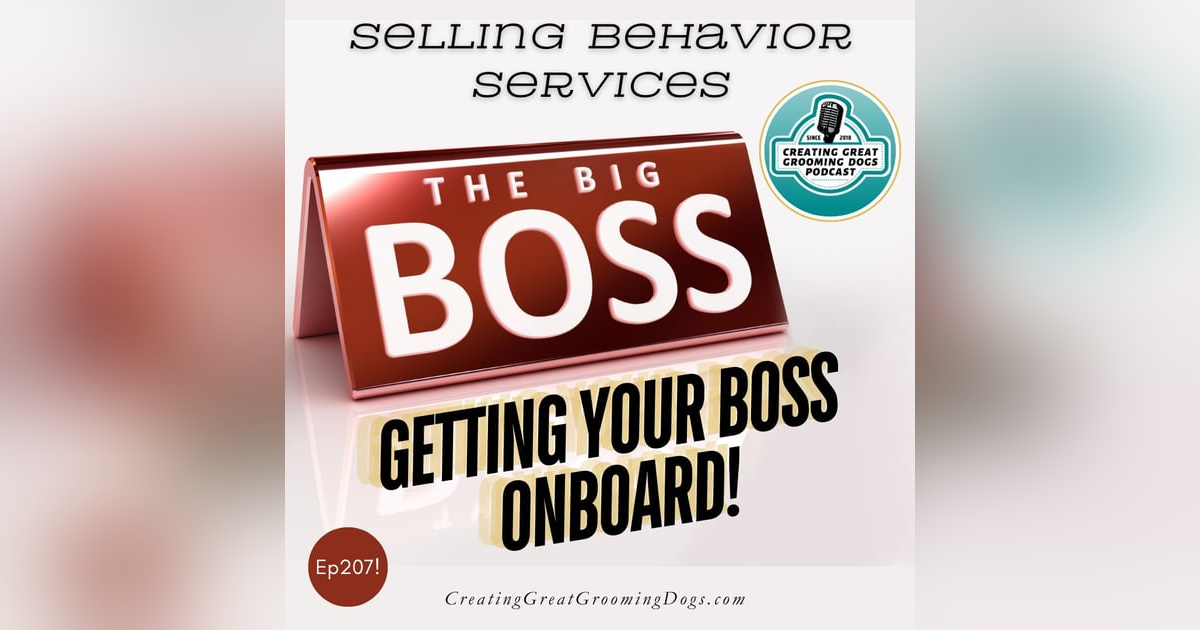 Getting Your Boss Onboard Ep207 Getting Your Boss Onboard Ep207
