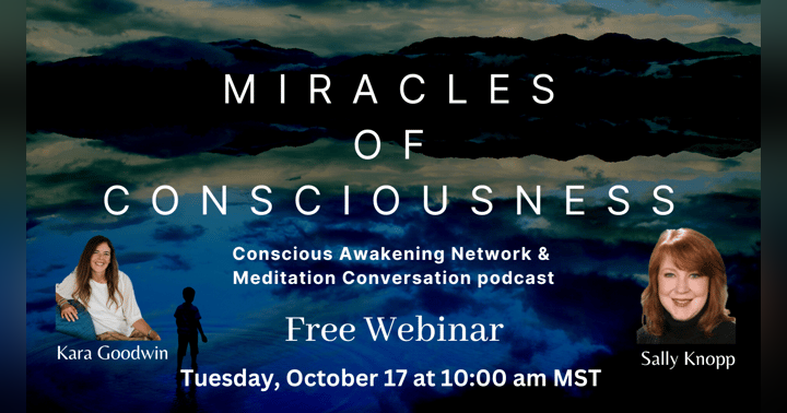 image for From Limiting Beliefs to Limitless Potential: Sally Knopp Reveals the Secrets of Quantum Healing