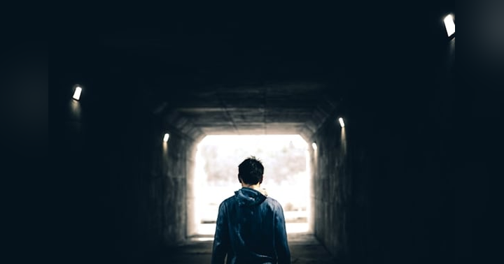 image for How to Follow Your Curiosity with Entrepreneur Nik Hulewsky