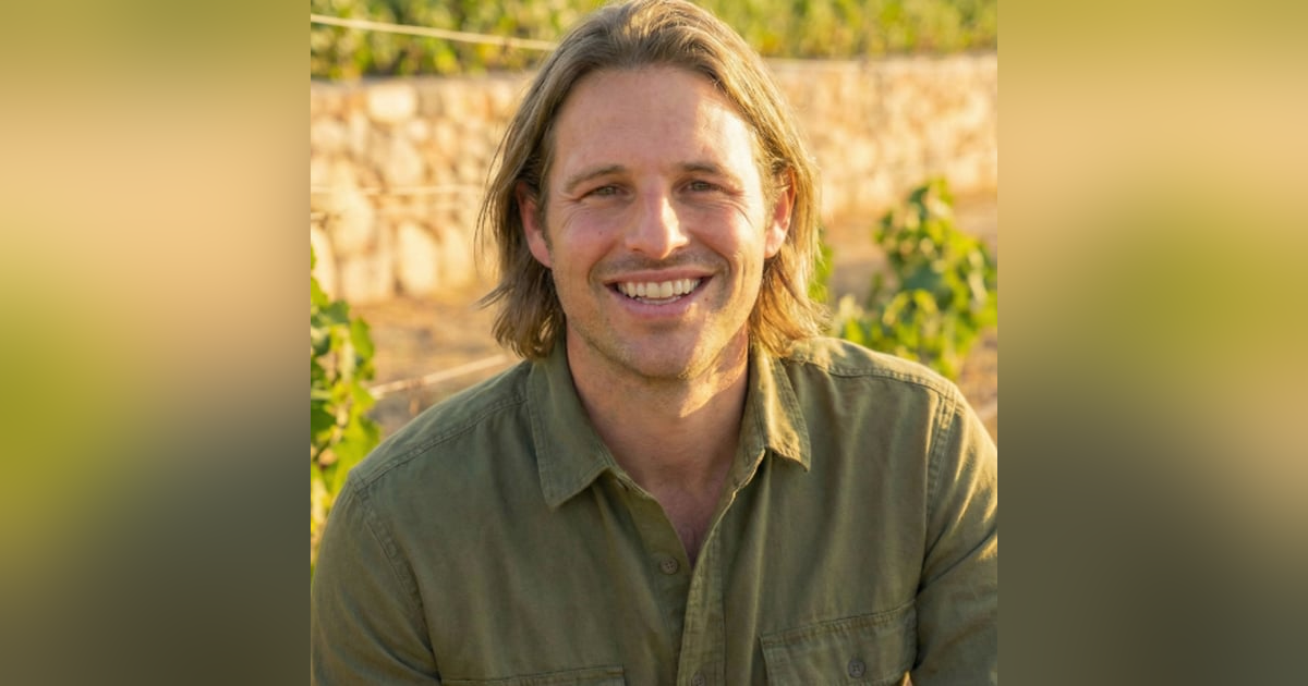 Uncorking a New Way to Learn with Mistral Wine Cards Uncorking a New Way to Learn with Mistral Wine Cards