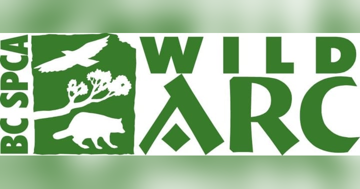 image for Penny and Joe’s Wild ARC Adventure: How to Help a Wild Friend in Trouble