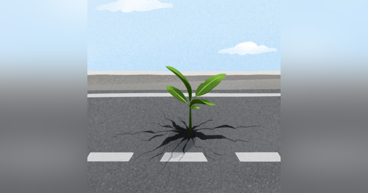 Las Mejores 30 Frases De Más Fuerte Que Nunca Con Foto Las Mejores 30 Frases De Más Fuerte Que Nunca Con Foto