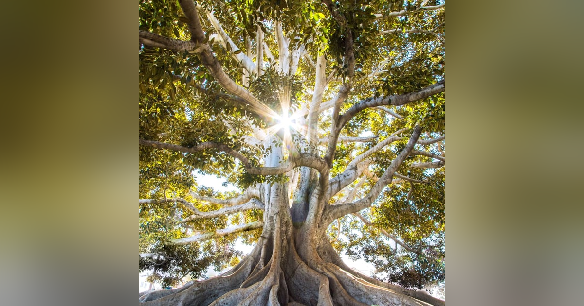 Key Performance Indicator ( KPI's) of Business Health Key Performance Indicator ( KPI's) of Business Health