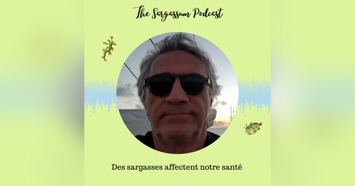 Episode 7 : Impacts des sargasses sur la santé avec le docteur Thierry Lebrun Episode 7 : Impacts des sargasses sur la santé avec le docteur Thierry Lebrun