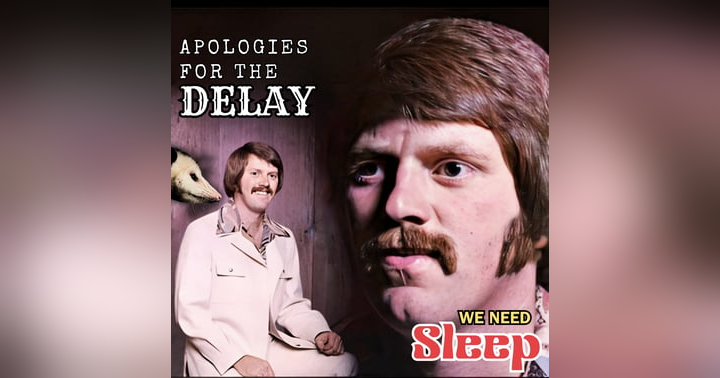 image for DINGUS DELAY!