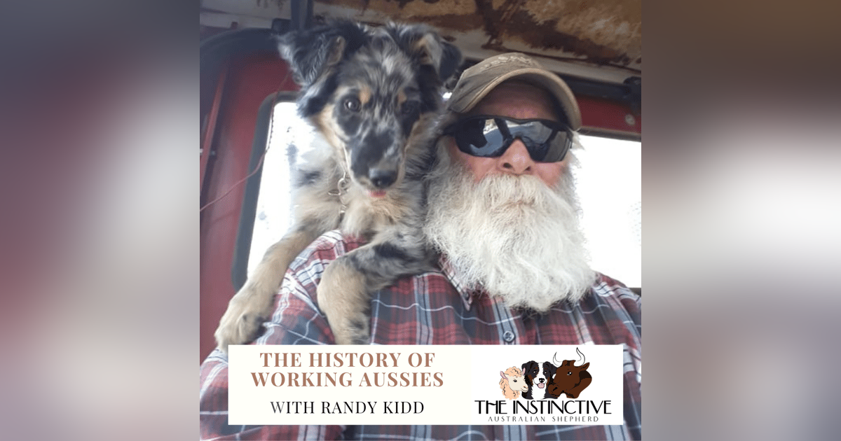 History and Working Dogs with Randy Kidd History and Working Dogs with Randy Kidd