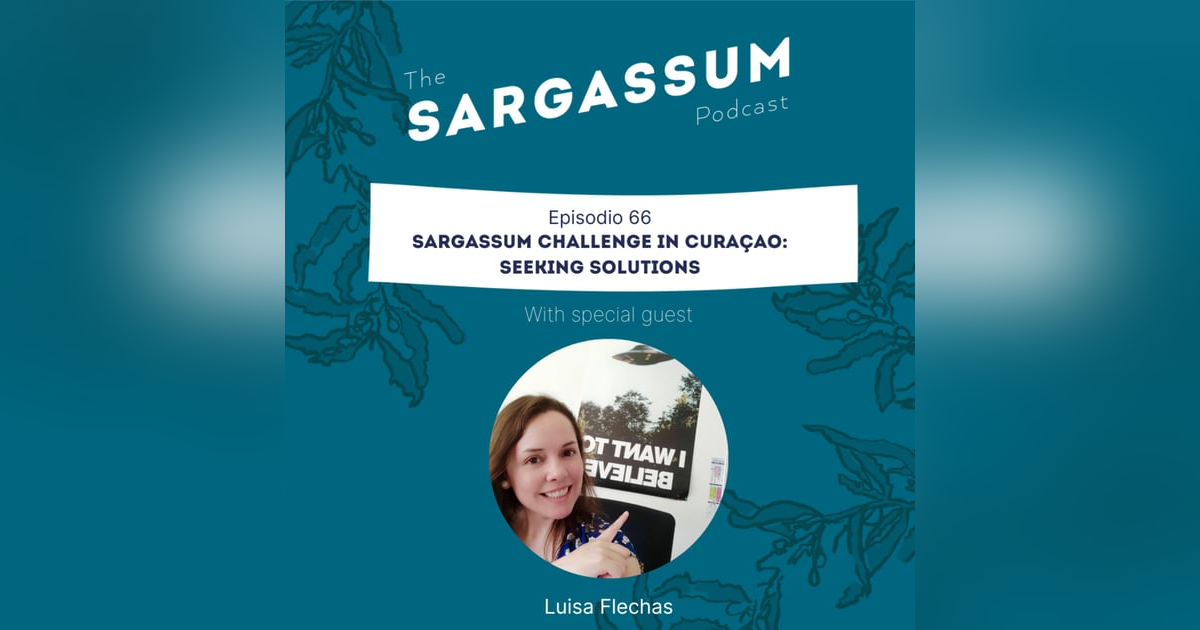 E66 Sargassum Challenge in Curaçao: Seeking Solutions E66 Sargassum Challenge in Curaçao: Seeking Solutions