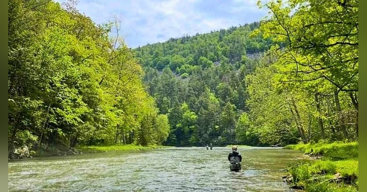 image for Cracking the Code on Penns Creek: Lessons from World Champion, Tess Weigand