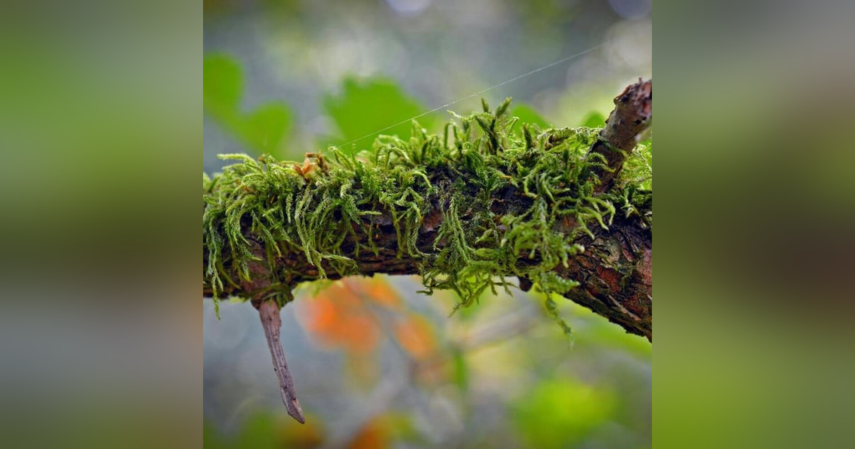 Cómo superar a tu peor enemigo: Tú. Cómo superar a tu peor enemigo: Tú.